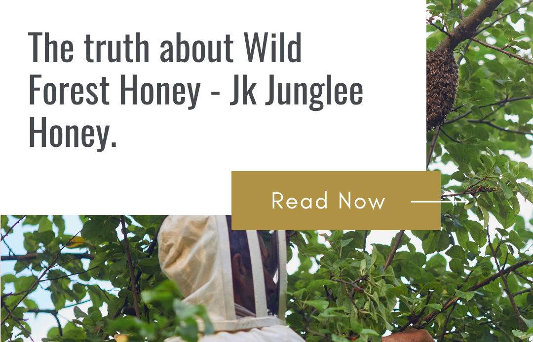 wild forest honey in natural honeycomb