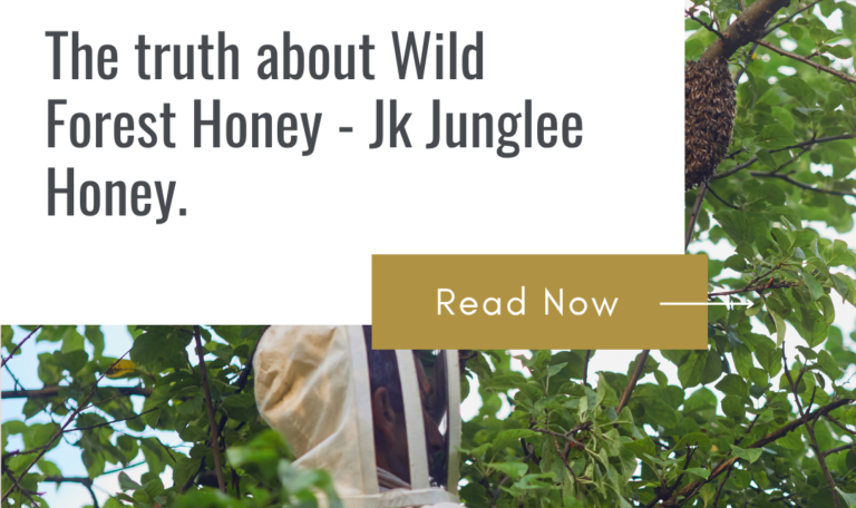 wild forest honey in natural honeycomb