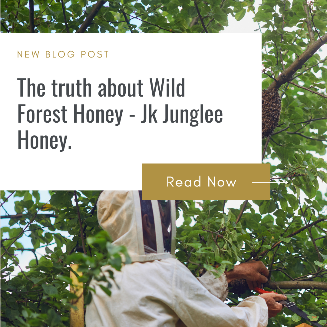 wild forest honey in natural honeycomb