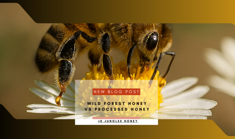 Wild forest honey vs processed honey blog banner by JK Junglee Honey