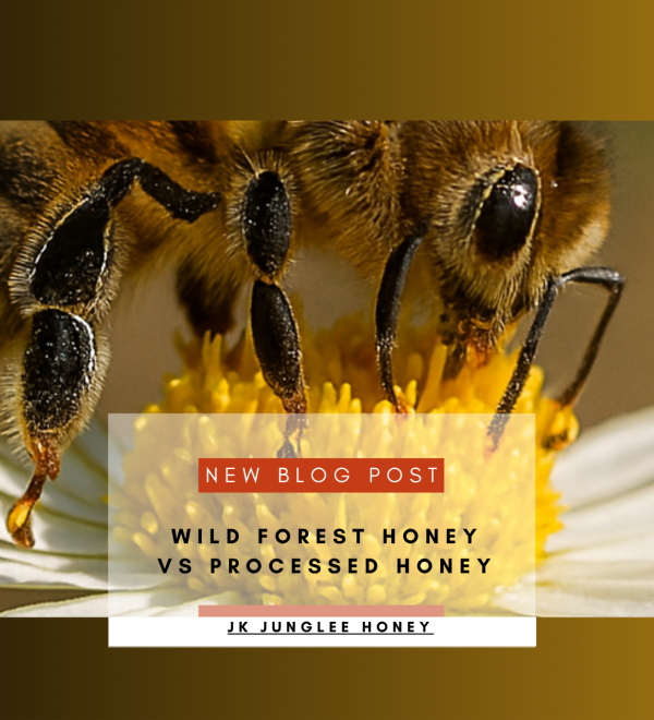 Wild forest honey vs processed honey blog banner by JK Junglee Honey