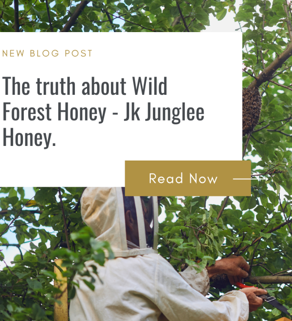 wild forest honey in natural honeycomb