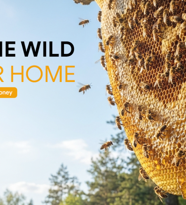 Natural wild honeycomb covered with bees, symbolizing ethically harvested forest honey by JK Junglee Honey.